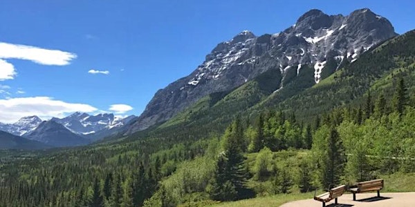 Brush & Breeze: Plein Air Painting for the Soul